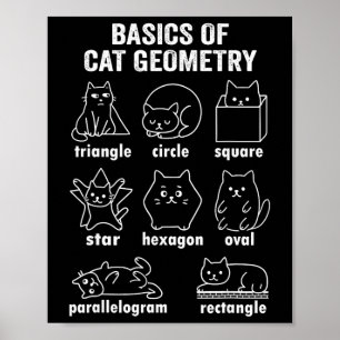 Poster Drôle de physique de la géométrie du chat retour à