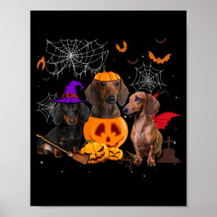 Poster Drôle de sorcière citrouille teckel chien apparié