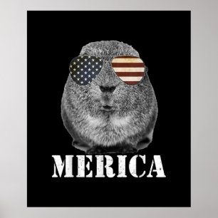 Poster Drôle Guinée Cochon Merica Patriotique Usa Lunette