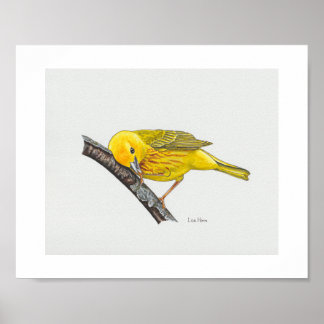 Poster Drôle Jaune Paruline Imprimer