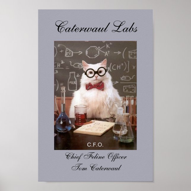 Poster Drôle Lab Cat CFO ou chef de la Feline Photo (Devant)
