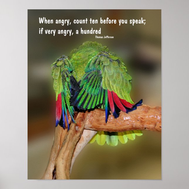 Poster Drôle Parrot Anger Citation Inspiration (Devant)