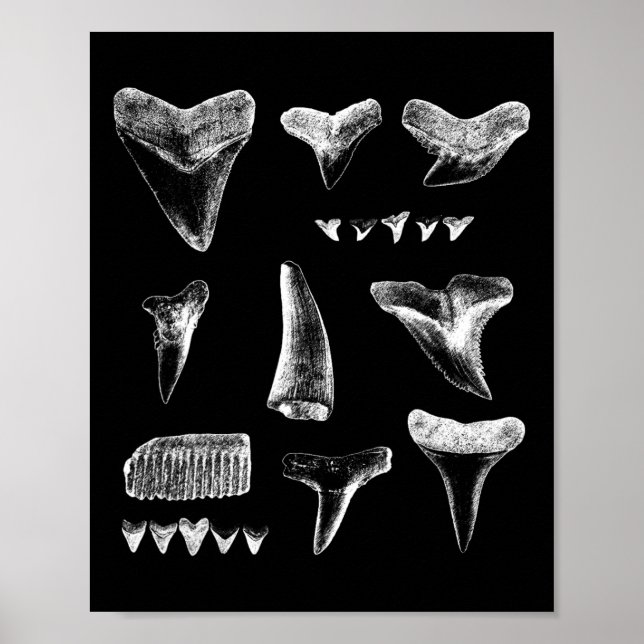 Poster Drôle Poignées de requin Conception pour hommes fe (Devant)