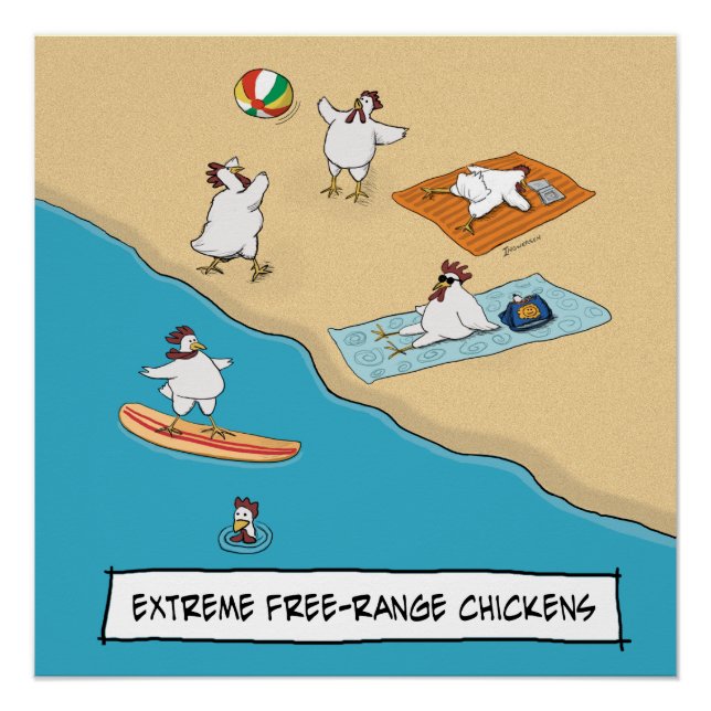 Poster Drôle Poulets Extreme Libre-Range (Devant)
