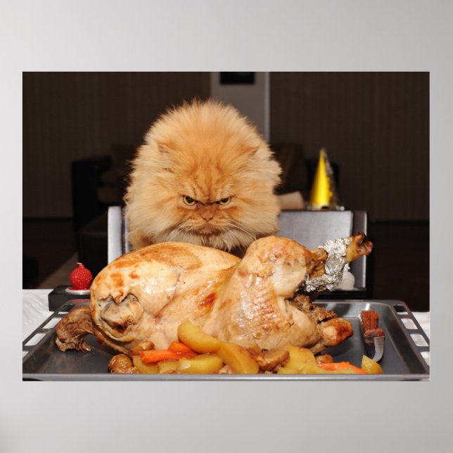 Poster Drôle Thanksgiving Chat (Devant)