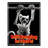 Drôle Toujours En Train D'Être Accroché Là Chat