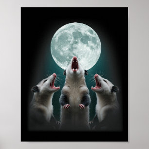 Poster Drôle Trois Lune Possum _ 3 Opossum Et Lune Morte