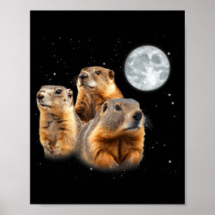 Poster Drôle Trois Marmotte Lune Jour de la Marmotte