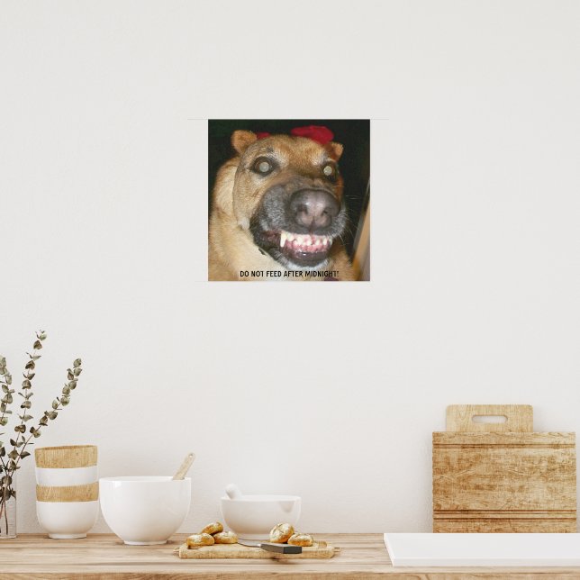Poster Drôle visage GSD Chien ne se nourrit pas après min (Cuisine)