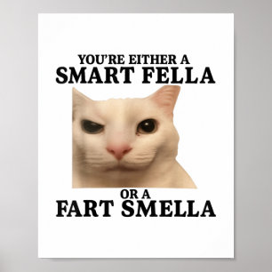 Poster Drôle Vous Avez Soit Une Fella Intelligente Soit U