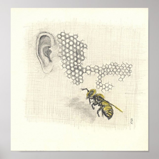 Poster Drone sur toile (Devant)