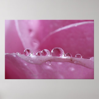 Poster Droplets