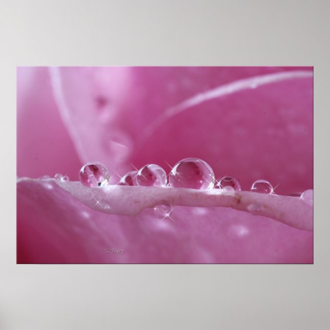 Poster Droplets (Devant)