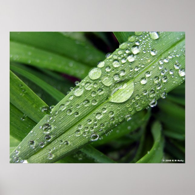 Poster Droplets D'Eau. (Devant)