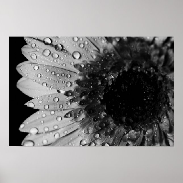 Poster Droplets marguerriers (noir et blanc) (Devant)