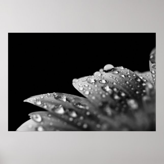 Poster Droplets (noir et blanc) (Devant)