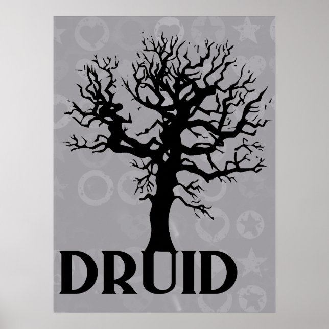 Poster Druide (Devant)