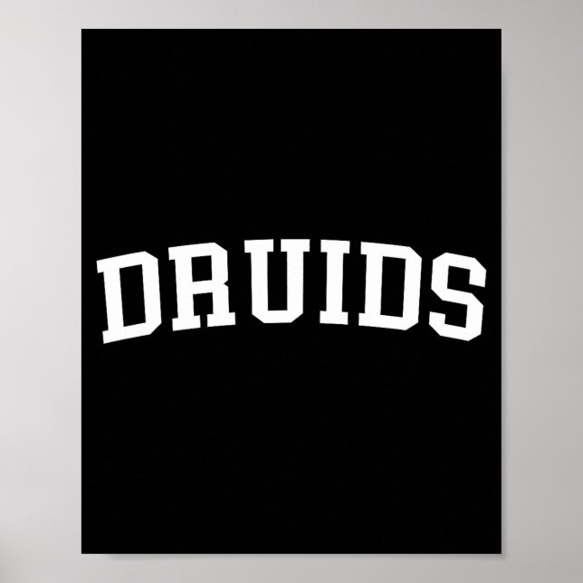 Poster Druids  (Devant)