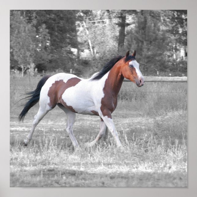 POSTER DSC_0110 (Devant)