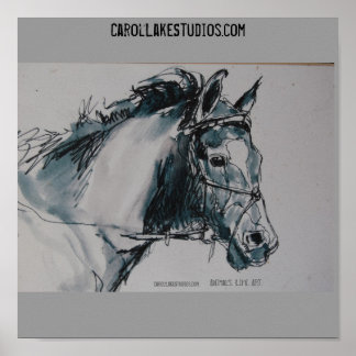 Poster DSC_0462, Animaux. La vie. Art. , CarolLakeStudio.