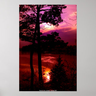 POSTER DSC_9022_sunset à la réserve de location