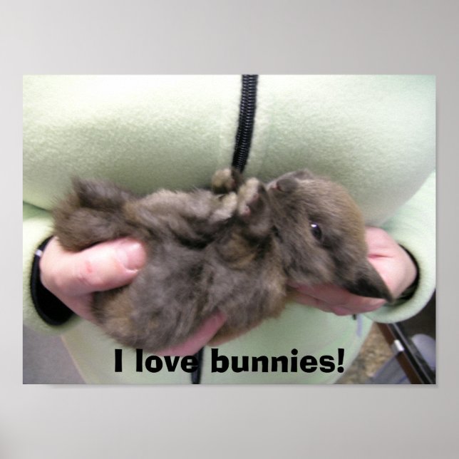 Poster DSCN0356, j'adore les lapins ! (Devant)