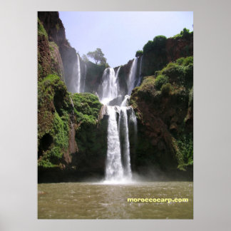 Poster DSCN9348, moroccocarp.com