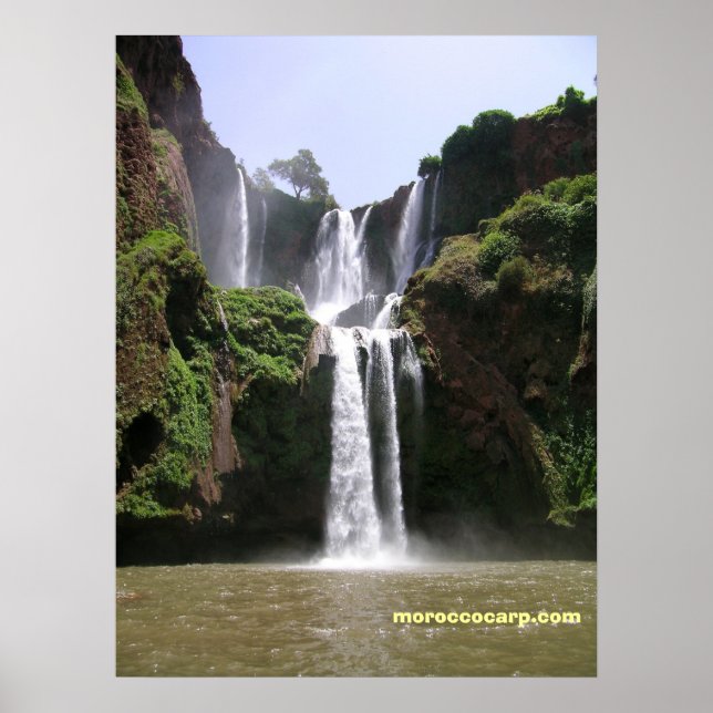 Poster DSCN9348, moroccocarp.com (Devant)