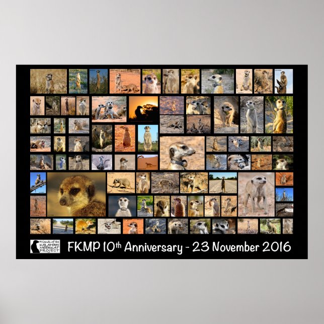 Poster du 10e anniversaire de FKMP - sélectionnez  (Devant)