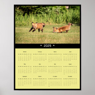 Poster du calendrier des kits Red Fox 2025