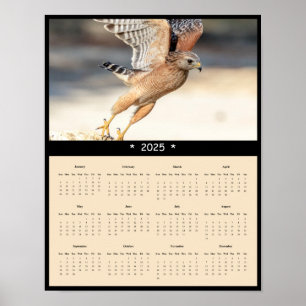 Poster du calendrier du mur de faucon à épaulettes