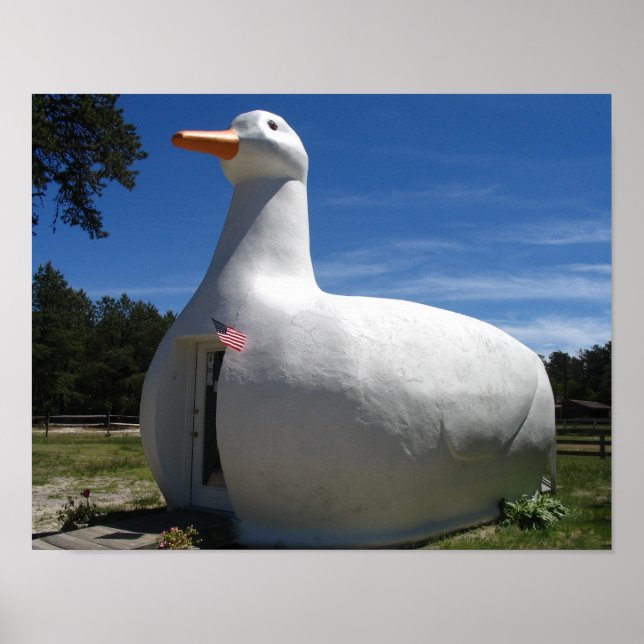 Poster du canard de Long Island (Devant)