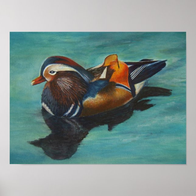 Poster du canard mandarin (Devant)