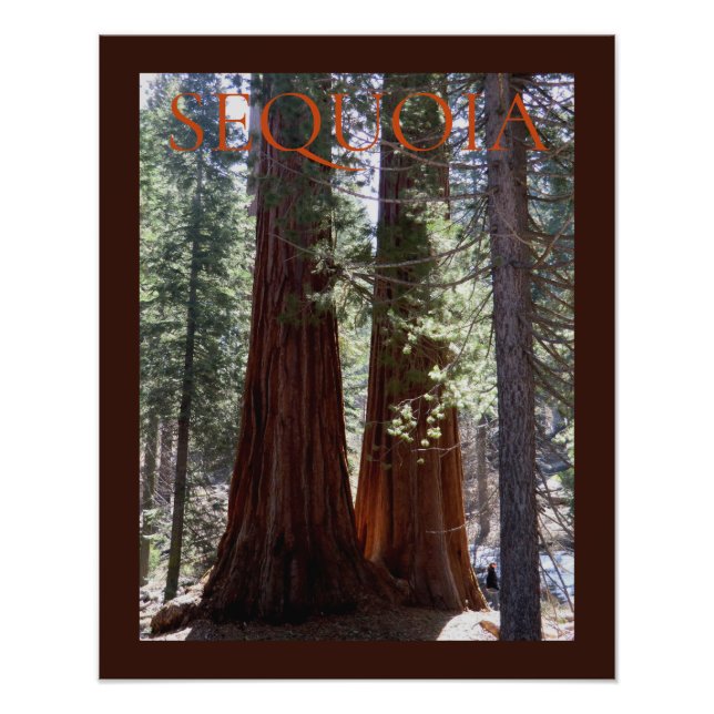 Poster du canyon Sequoia/Kings (Devant)