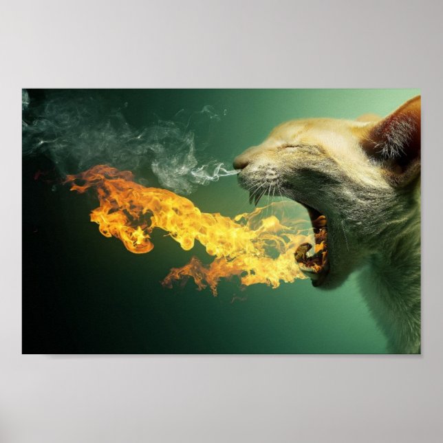 Poster du chat de respiration (Devant)