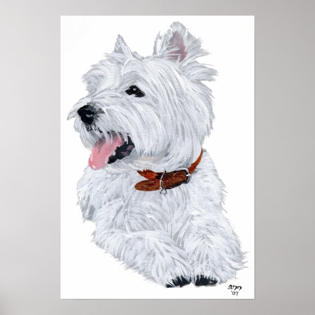 Poster du chef West Highland White Terrier (Devant)
