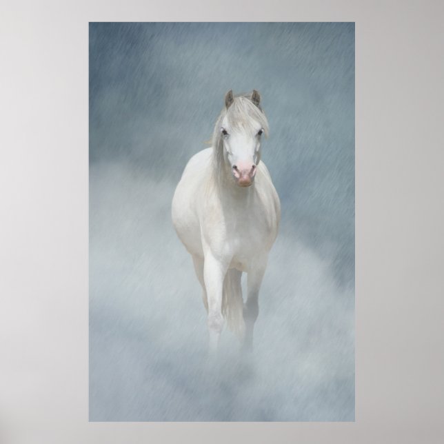 Poster du cheval (Devant)