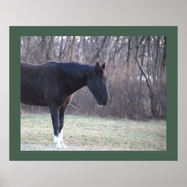 Poster du cheval (Devant)