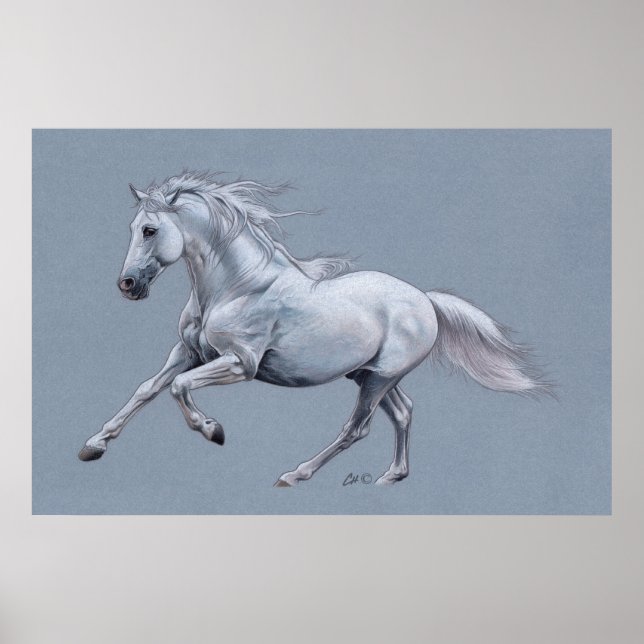 Poster du Cheval Blanc (Devant)