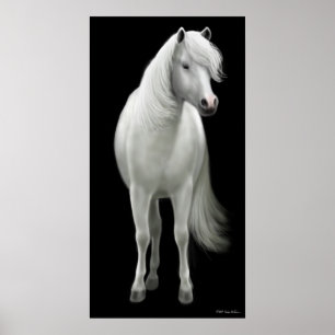 Poster du Cheval Blanc Sauvage