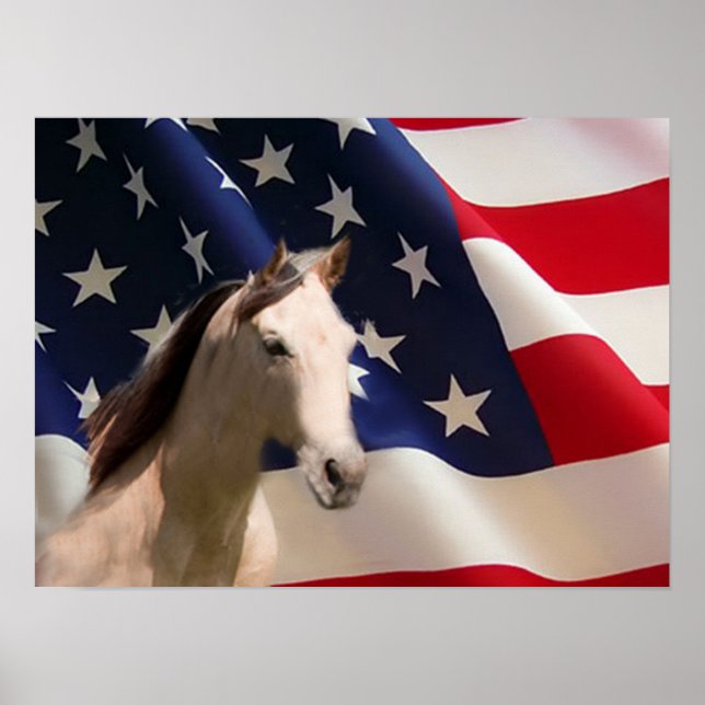 Poster du cheval drapeau américain (Devant)