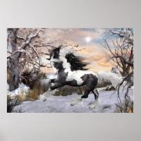 Poster du cheval Gypsy Vanner