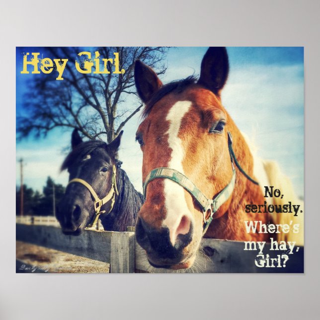 Poster du cheval : "Hey Girl." (Devant)