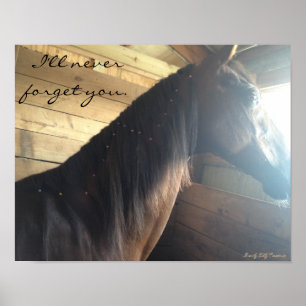 Poster du cheval : "Je ne t'oublierai jamais."