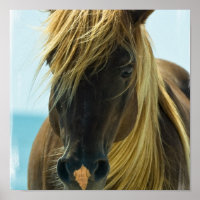 Poster du Cheval Mustang Imprimer