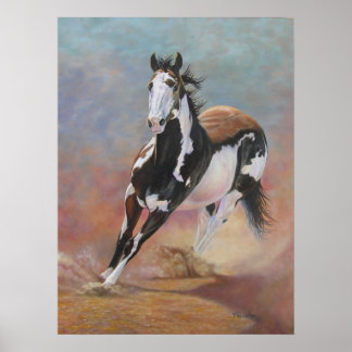 Poster du cheval - Sammy