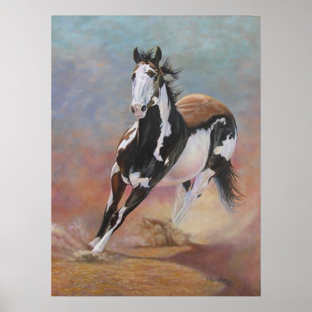 Poster du cheval - Sammy (Devant)