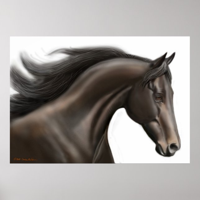 Poster du cheval Thoroughbred (Devant)