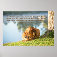 Poster du chien Boerboel avec Citation Inspiration