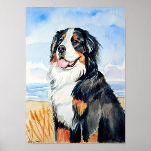 Poster du chien de montagne bernois Imprimer